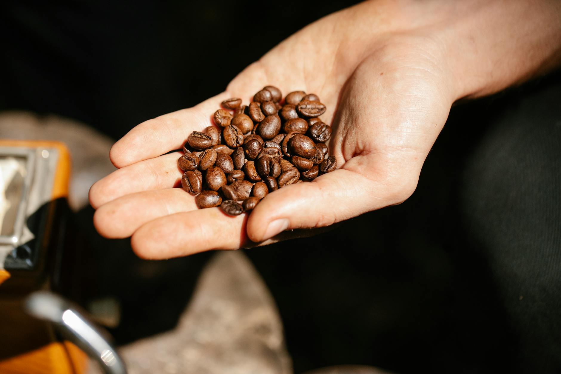 Kaffeebohnen in der Hand — Fair-Trade Auswahl