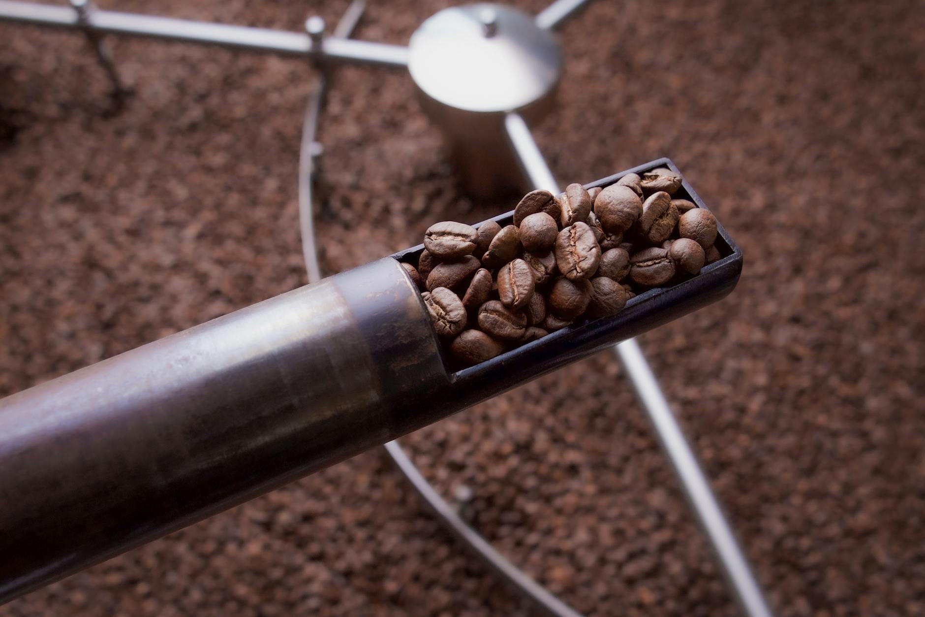 Frisch geröstete Kaffeebohnen in der Röstmaschine